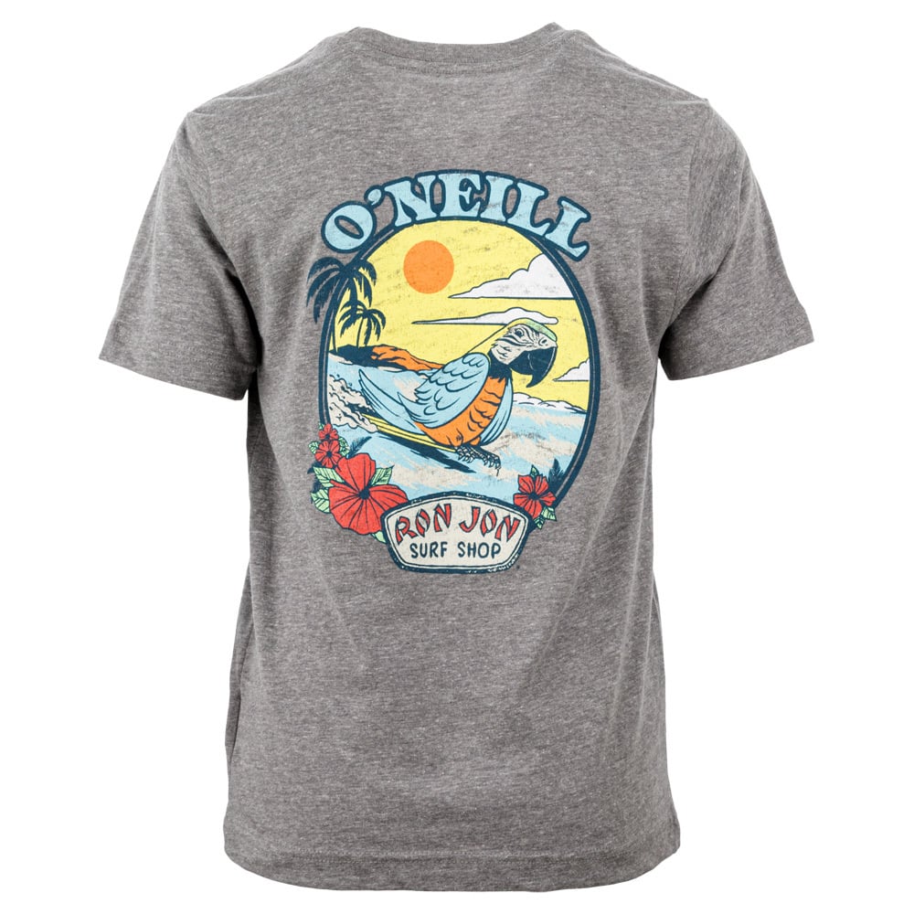 40140086092-oneill-ron-jon-heather-grey-distressed-parrot-surf-tee-back